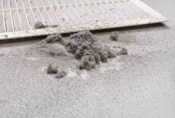 Best Commercial HVAC Duct Cleaning  in Mcminnville, TN