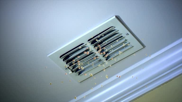 Best Duct Cleaning Specialists  in Mcminnville, TN