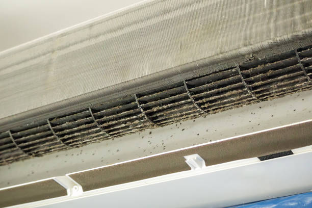 Best Home Air Vent Cleaning  in Mcminnville, TN